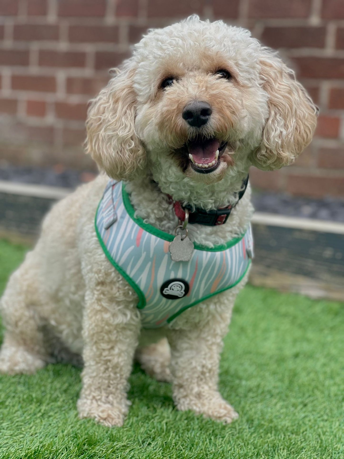 Safari Stripes Harness | Collar | Lead | Poop Bag