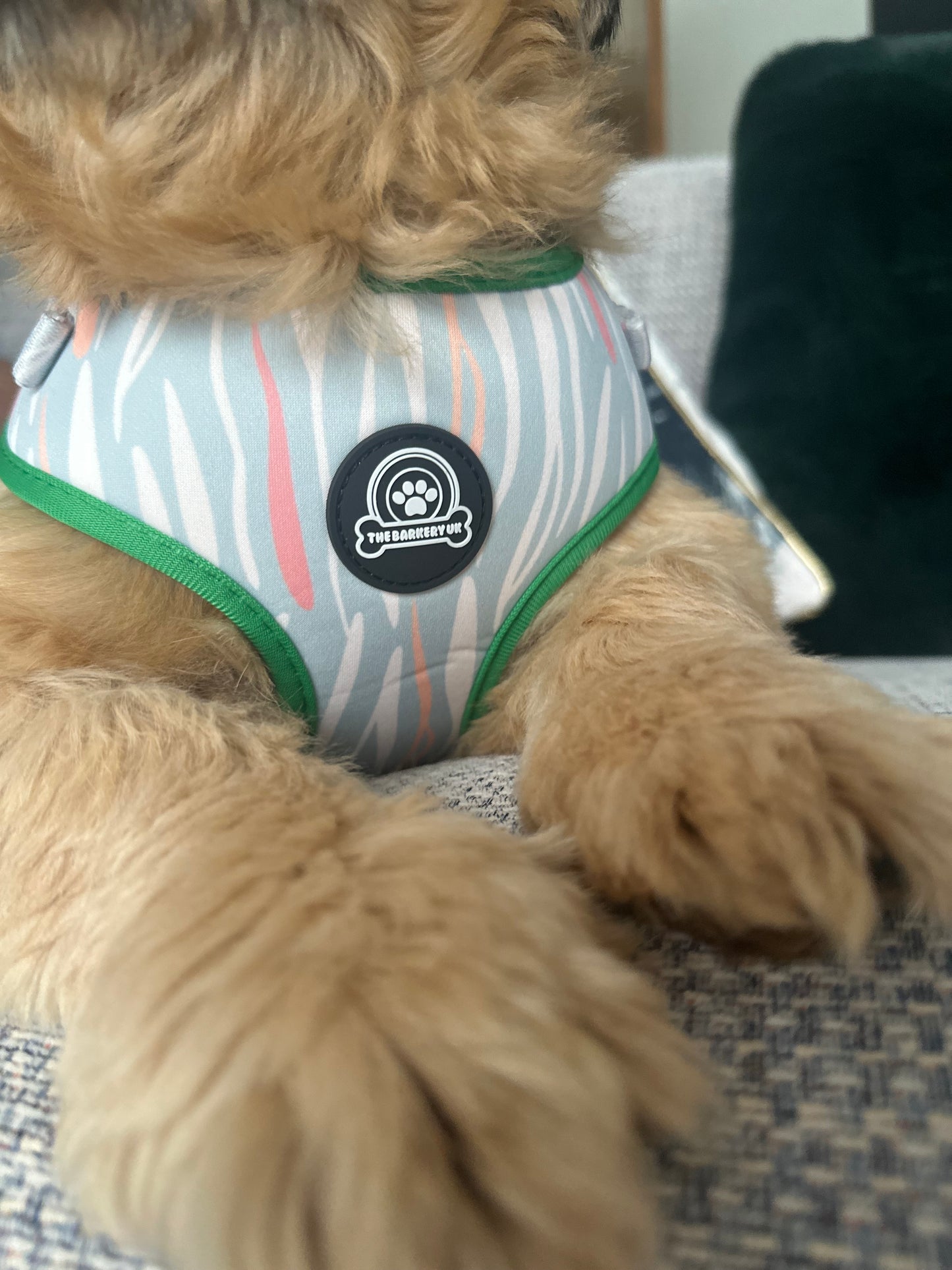 Safari Stripes Harness | Collar | Lead | Poop Bag